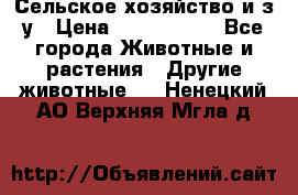 Сельское хозяйство и з/у › Цена ­ 2 500 000 - Все города Животные и растения » Другие животные   . Ненецкий АО,Верхняя Мгла д.